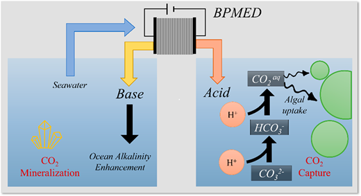 海水から酸を採取し、有益な藻類に供給する研究者たち(Researchers Harvest Acid From Seawater to Feed Beneficial Algae) 海水から酸を採取し、有益な藻類に供給する研究者たち(Researchers Harvest Acid From Seawater to Feed Beneficial Algae)