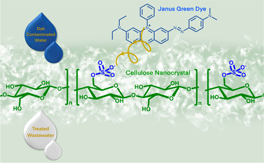 木質系新技術で排水中の色素汚染物質を80%除去(New wood-based technology removes 80 percent of dye pollutants in wastewater) 木質系新技術で排水中の色素汚染物質を80%除去(New wood-based technology removes 80 percent of dye pollutants in wastewater)