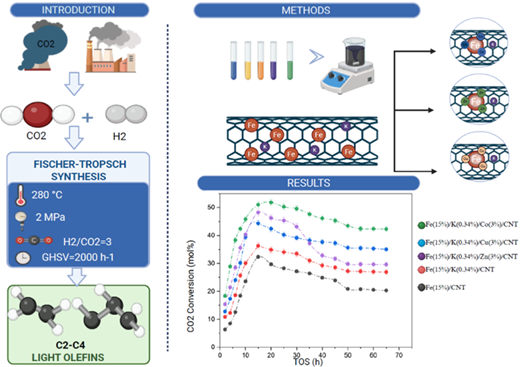 Modified CNT-Supported Fe Catalysts for Enhanced CO2 Hydrogenation in ...