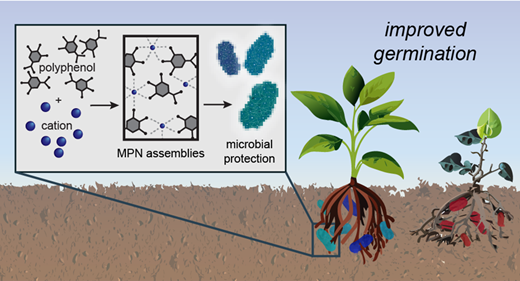 微生物が化学肥料の必要性を減らすのに役立つ可能性(Microbes could help reduce the need for chemical fertilizers)