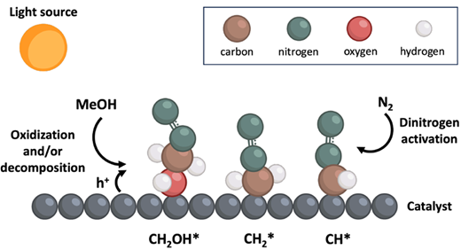 光化学と新しい触媒が肥料をより持続可能にする(Photochemistry and a New Catalyst Could Make Fertilizer More Sustainable)