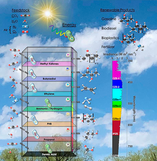 CO2 をエサとして環境に優しい燃料を作るナノ微生物