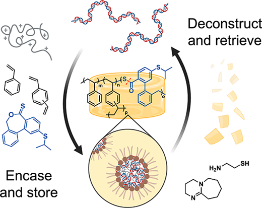 DNAを常温保存する新しい化学保存技術(Cache DNA Takes Biomolecule Storage Out of the Freezer) DNAを常温保存する新しい化学保存技術(Cache DNA Takes Biomolecule Storage Out of the Freezer)