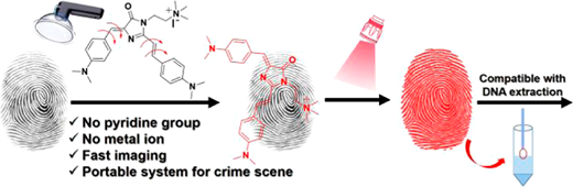 指紋を10秒で検出する生体適合性蛍光スプレーを開発(Scientists develop biocompatible fluorescent spray that detects fingerprints in ten seconds)