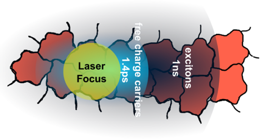 共有結合有機フレームワークを通じた効率的なエネルギー輸送の発見 (Efficient Energy Transport Through Covalent Organic Frameworks)