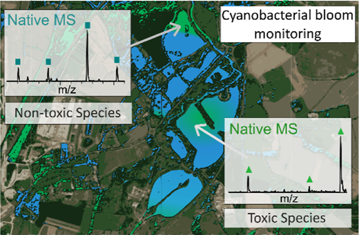 有害藻類ブルームの監視における先進技術の可能性（Decoding the blue: Advanced Technology releases potential in harmful algal bloom monitoring）