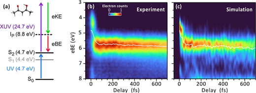 Figure 1. Refer to the image caption for details.