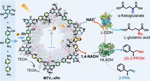Built-in Electric Field in Multivariate COFs Boosts Photocatalytic NADH ...