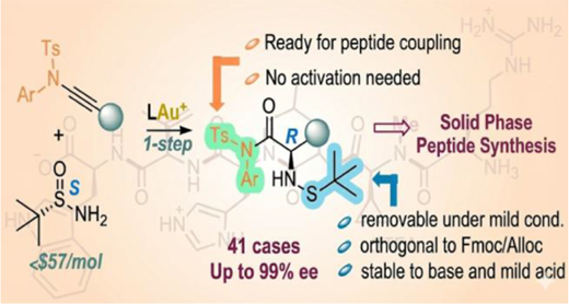 非天然アミノ酸合成により生物医学研究用“巨大カラーパレット”を実現 (Scientists unlock a massive new ‘color palette’ for biomedical research by synthesizing non-natural amino acids)