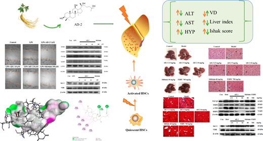 Ginsenoside AD‑2 Ameliorating Lipopolysaccharide-Induced Activation in ...
