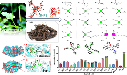 ヒハツ果実に含まれる機能性食品・医薬用途の活性成分を特定(Researchers Identify Active Compounds in Piper Longum Fruits with Potential for Functional Foods and Medicine)