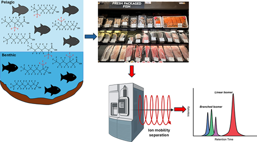 「永遠の化学物質」PFASの食物連鎖での分布を解析(Tracking forever chemicals across food web shows not all isomers are distributed equally) 「永遠の化学物質」PFASの食物連鎖での分布を解析(Tracking forever chemicals across food web shows not all isomers are distributed equally)