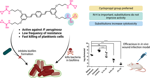 耐性菌を克服する新しい抗生物質の分子を開発(Researchers develop molecules for a new class of antibiotics that can overcome drug resistant bacteria) 耐性菌を克服する新しい抗生物質の分子を開発(Researchers develop molecules for a new class of antibiotics that can overcome drug resistant bacteria)