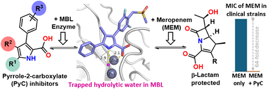 最終手段抗生物質への耐性克服に役立つ新型阻害剤を開発 (New type of inhibitor could help tackle resistance against ‘last-resort’ antibiotics) 最終手段抗生物質への耐性克服に役立つ新型阻害剤を開発 (New type of inhibitor could help tackle resistance against ‘last-resort’ antibiotics)