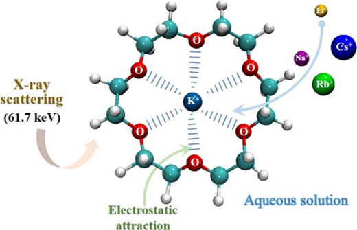 Alkali Metal Ion Recognition by 18-Crown‑6 in Aqueous Solutions ...