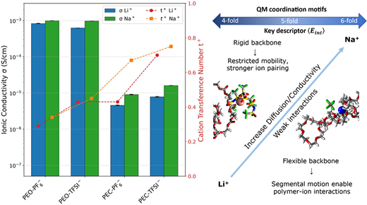 Population-Weighted First-Shell Coordination States Rationalize Li+ and ...