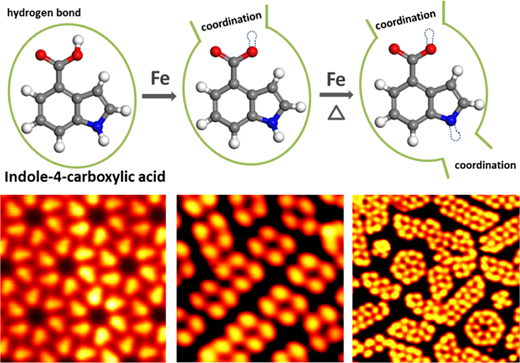 Self-Assembly of a Metal–Organic Framework by Stepwise Coordination of ...