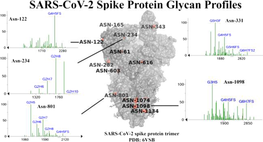NISTの新手法、ウイルスのトゲトゲ兵器に付着した糖の同定が可能に(New NIST Method Can Better Identify Sneaky Sugars on Viruses&rsquo; Spiky Weapons)