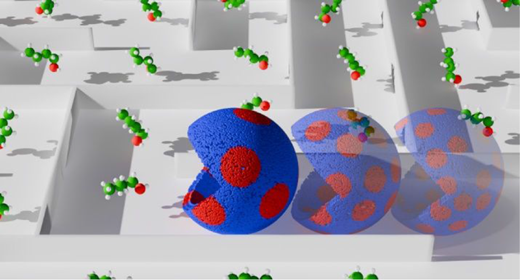 より良いバイオ製品のための分子の謎を解く(Solving a molecular mystery for better bioproducts)