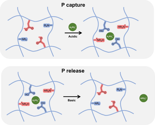 リンを効率的に除去する新しい浄水フィルターを開発（Researchers Create New Way to Remove Phosphorus from Contaminated Water）