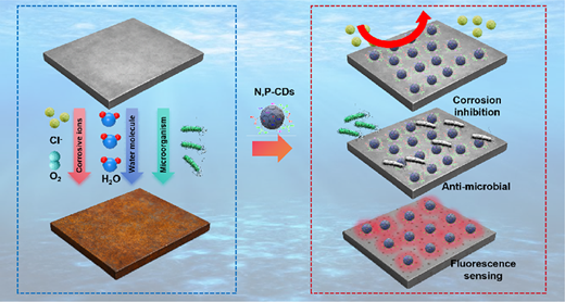Improved Corrosion Resistance of Q235 Steel in 3.5 wt% NaCl Solution by ...
