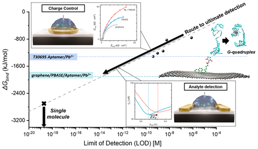 超高感度鉛センサーが水質監視を大幅に改善する可能性(Ultra-sensitive Lead Detector Could Significantly Improve Water Quality Monitoring)