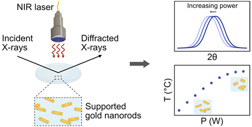 小さな金のラジエーターがインプラントのバクテリアを焼く(Tiny gold radiators fry bacteria on implants)