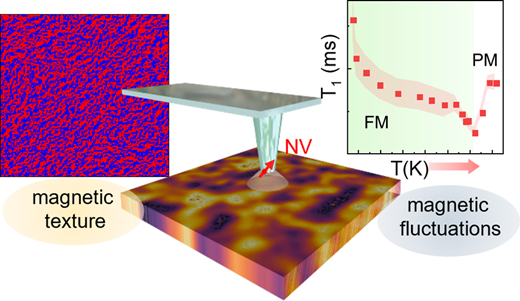 単一量子ビットセンサーによる新しい量子材料発見手法（Single-qubit sensing puts new spin on quantum materials discovery）