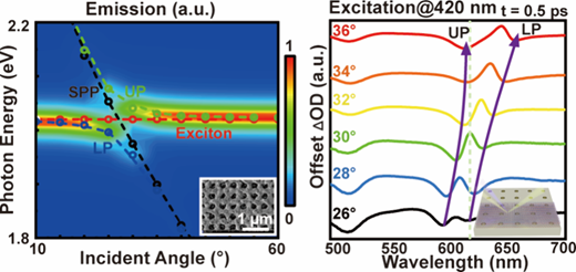 Ultrafast Investigation of the Strong Coupling System between Square Ag ...