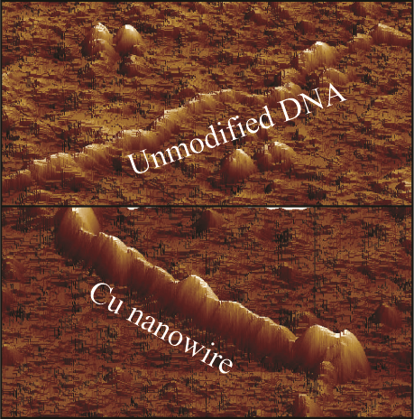 DNA-Templated Construction of Copper Nanowires | Nano Letters | ACS ...