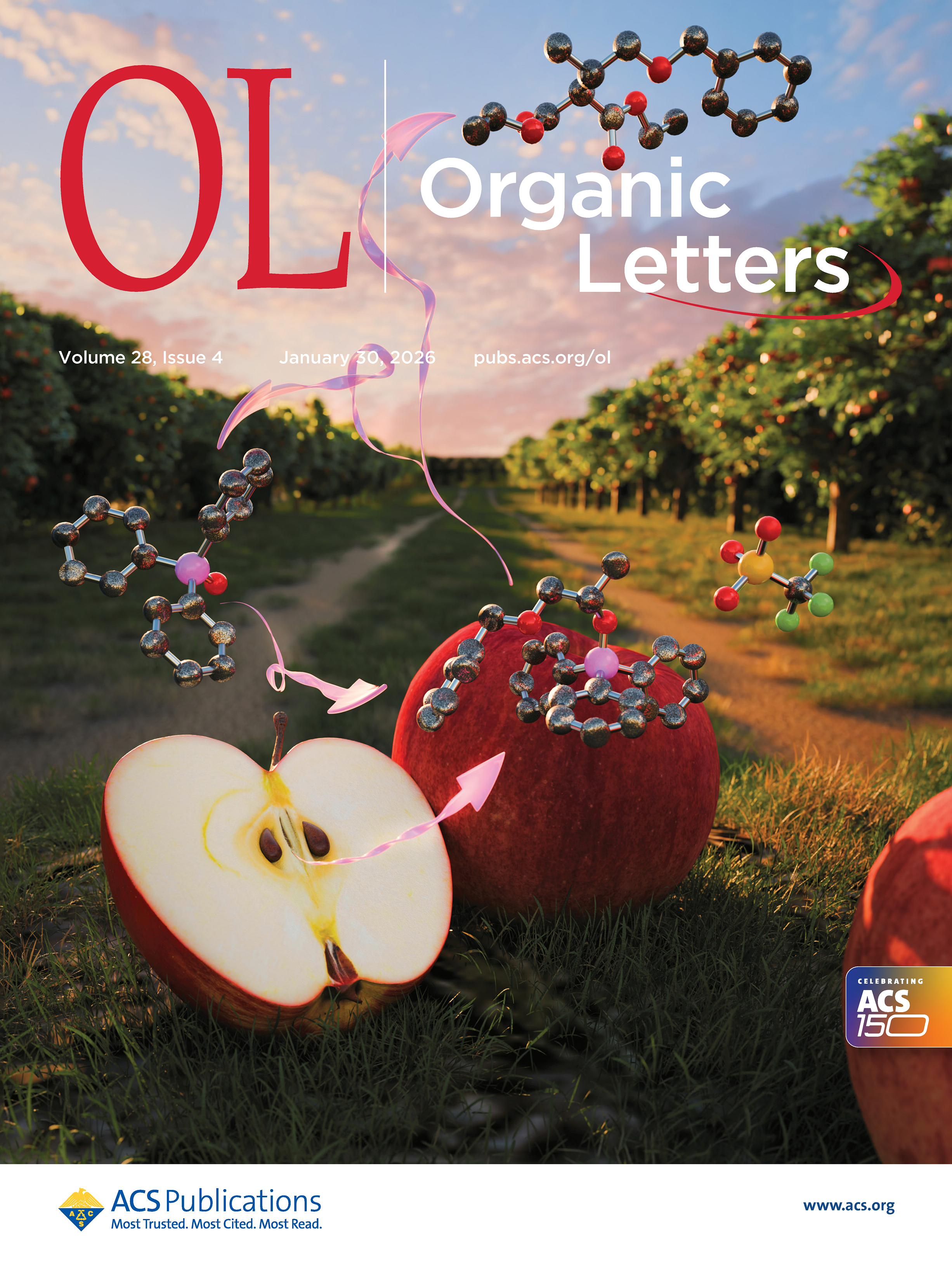 Volume 28 Issue 4 | Organic Letters | ACS Publications